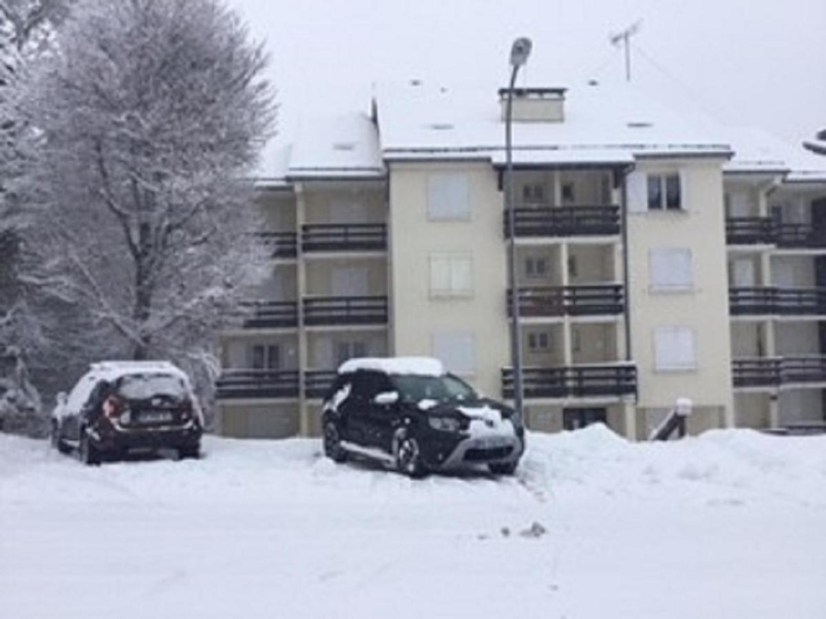 Ferienwohnung Lo Vedelier D'Aubrac Laguiole Exterior foto