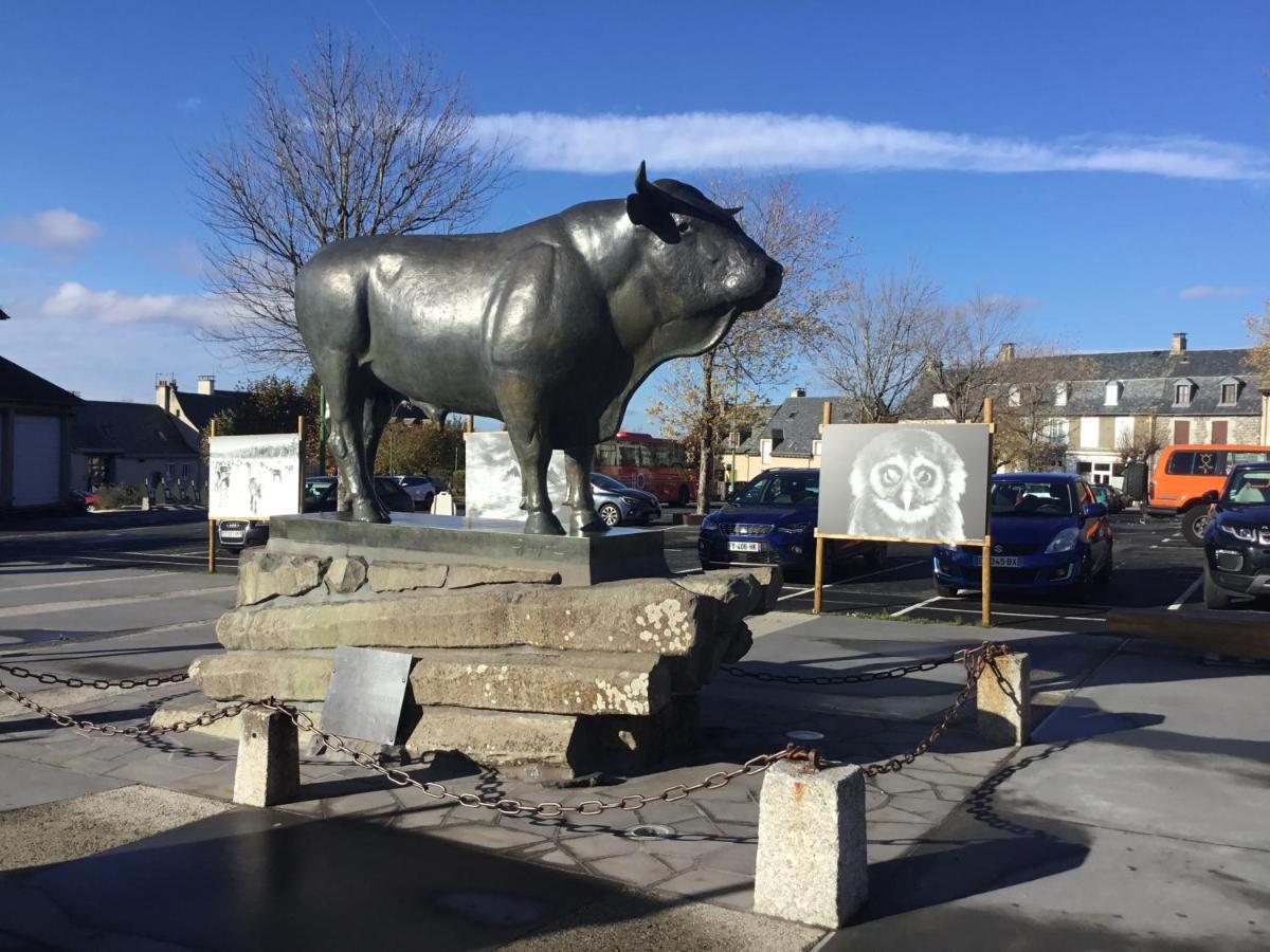 Ferienwohnung Lo Vedelier D'Aubrac Laguiole Exterior foto