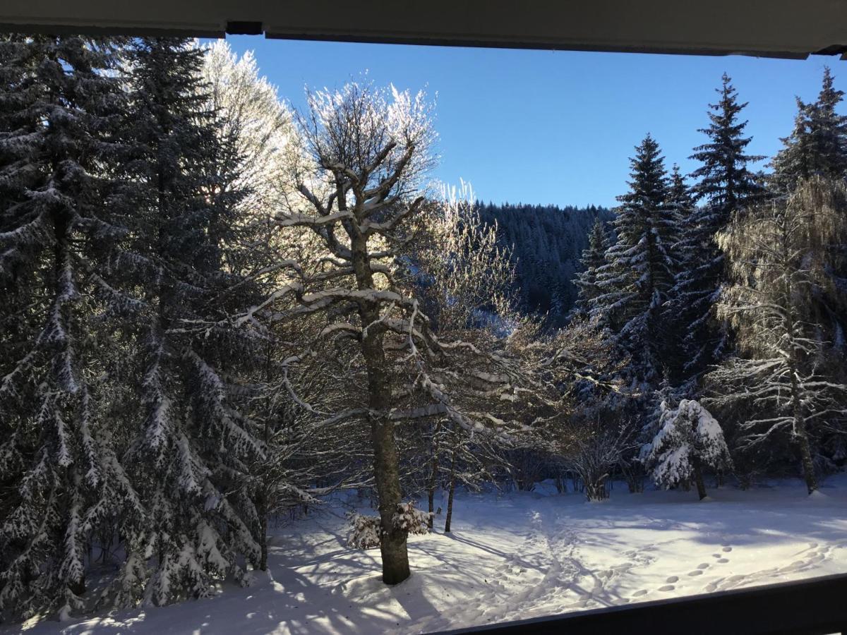 Ferienwohnung Lo Vedelier D'Aubrac Laguiole Exterior foto